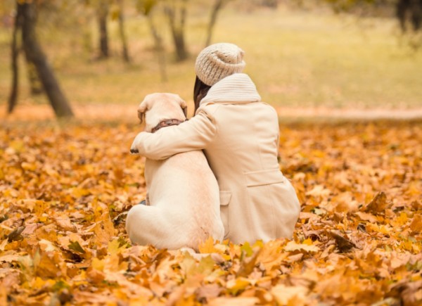 Con il cane in un parco autunnale