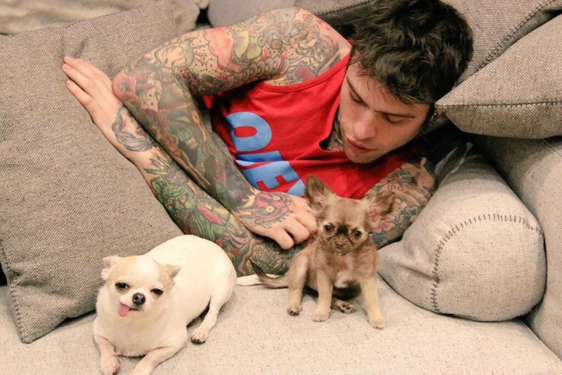 I-cani-di-Fedez-2