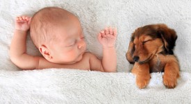 Dormire con i propri animali, sonnifero naturale