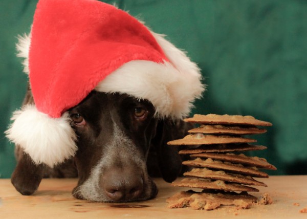 Posso avere un biscotto di Natale