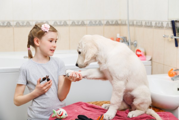 bambina taglia unghie al cane