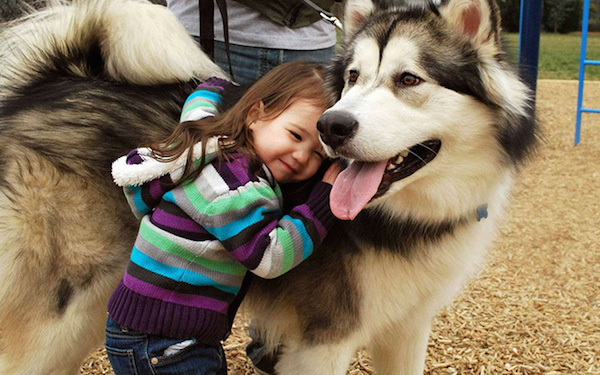 cane con bambina