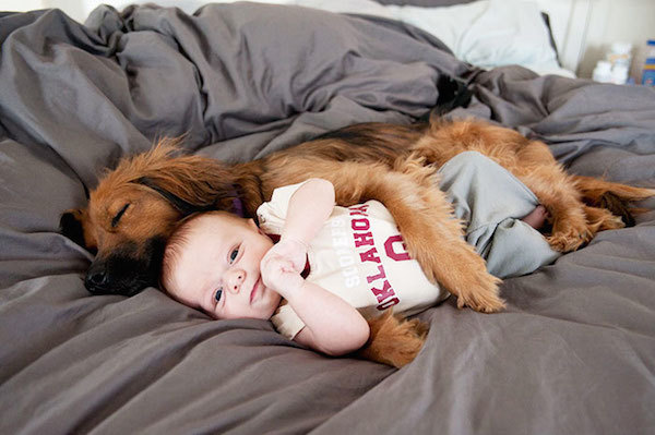 cane e bambino a letto