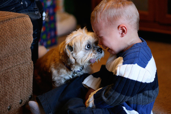 cane e bambino che piange