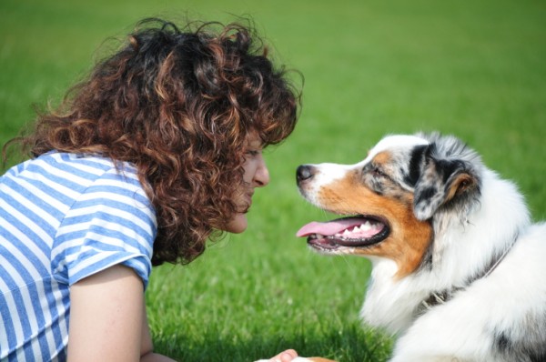 cane guarda la proprietaria