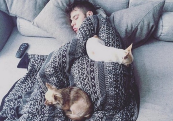 fedez dorme con cani