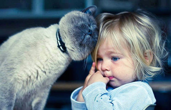 gatto e bambina