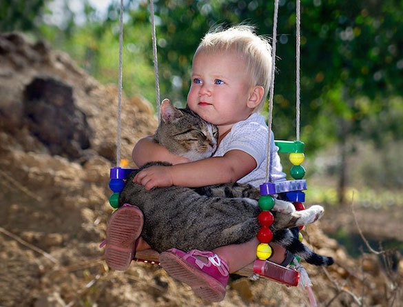 gatto e bambino su altalena