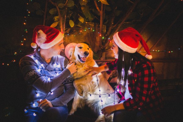 natale con il cane