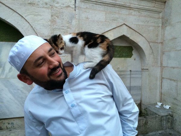 Imam di Istanbul con gatto