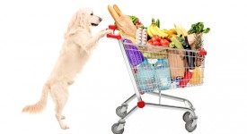 Cani al supermercato, apppello Brambilla