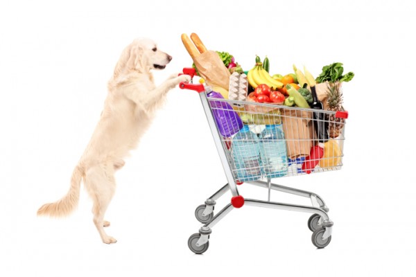 Cani al supermercato, apppello Brambilla