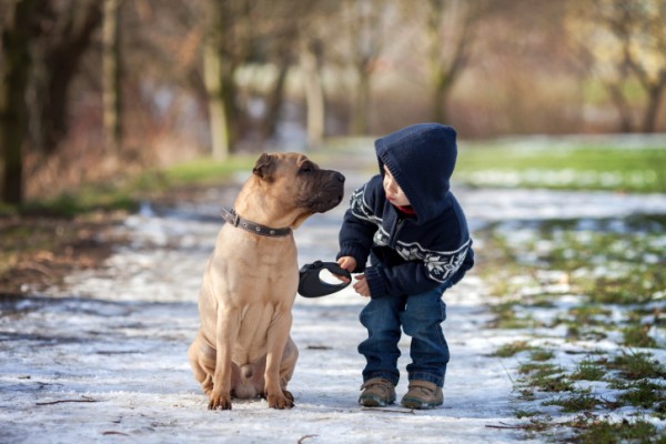 cane con bambino