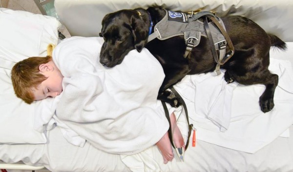 Labrador con bambino in ospedale
