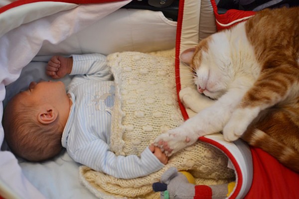 Neonato e gatto