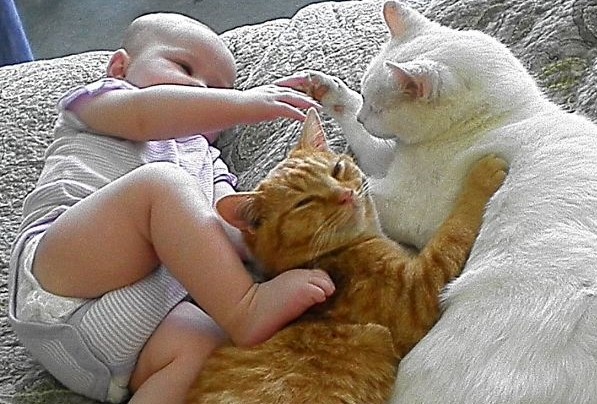 bambino con gatti