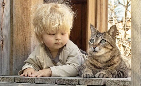 bambino e gatto