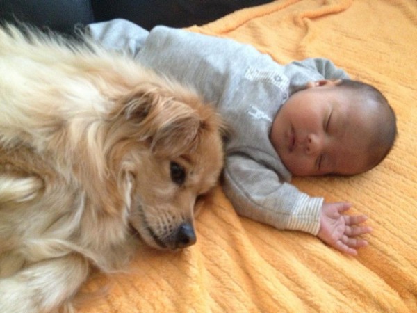 cane accanto neonato
