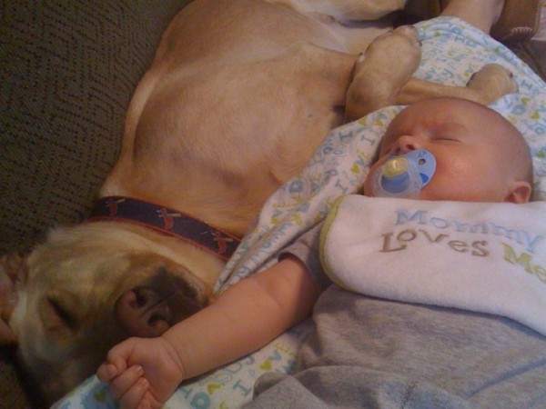 cane dorme con neonato