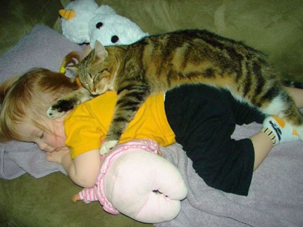 gatto e bambina