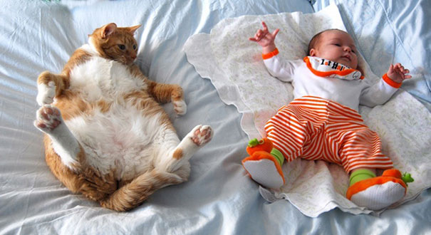 gatto e neonato