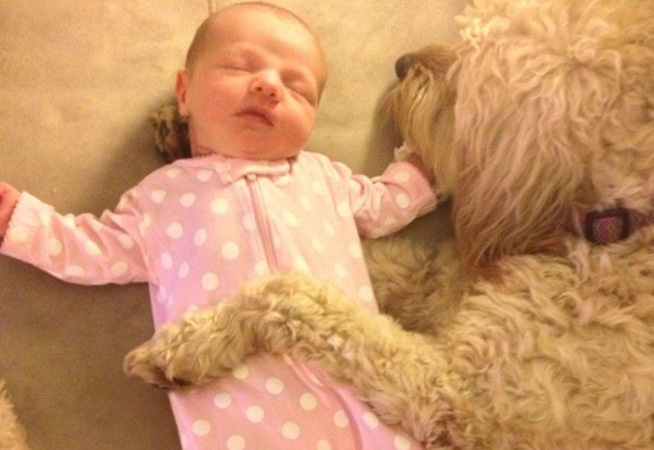 neonato e cane dormono