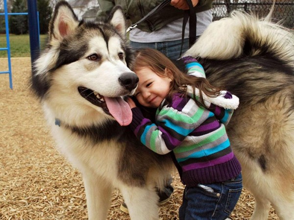 Husky e bambina