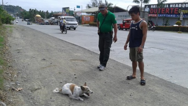 cane in strada sofferente e passanti
