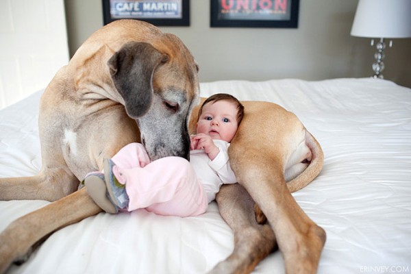 cane over size e bambina