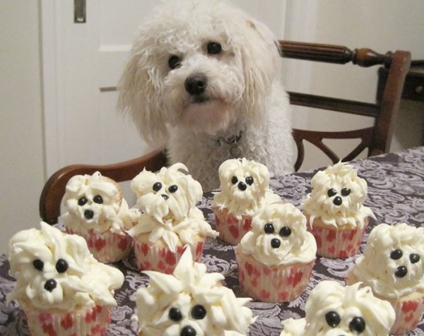 cane con pasticcini