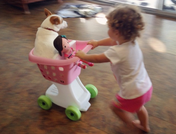 cane trasportato da una bambina