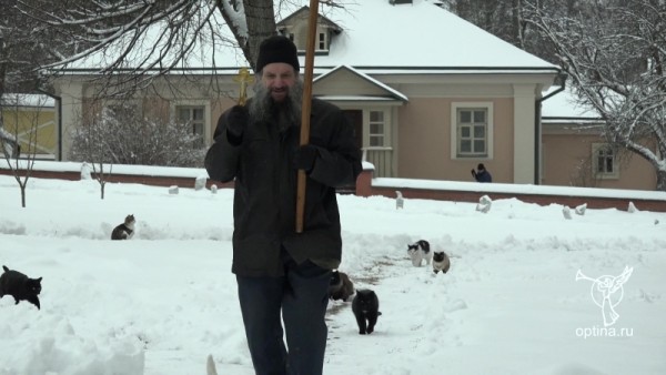 Gatti devoti in processione al monastero ortodosso (VIDEO)
