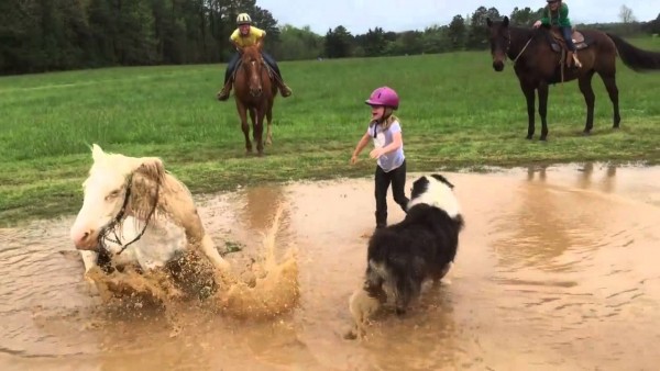 Pony ama il fango e si tuffa con la bambina (VIDEO)