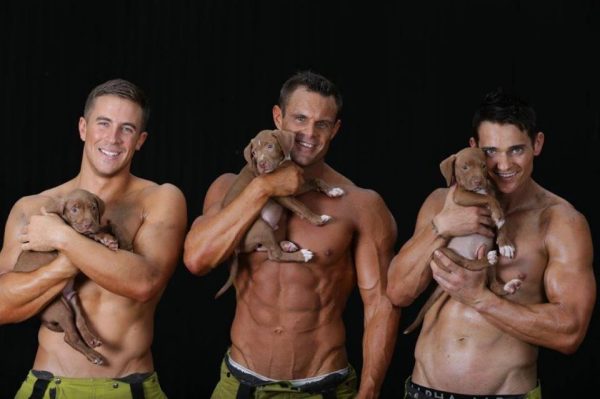 uomini a torso nudo con cuccioli di cane