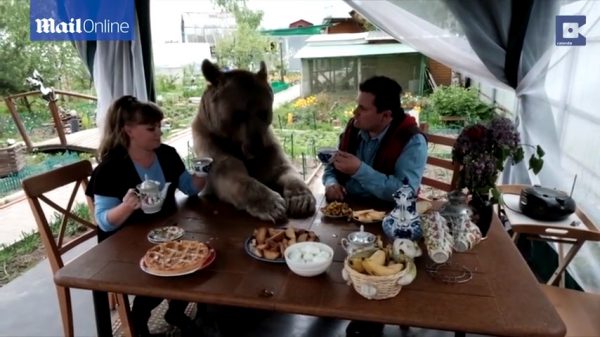 Stefan, un quattro zampe in famiglia formato gigante (VIDEO)