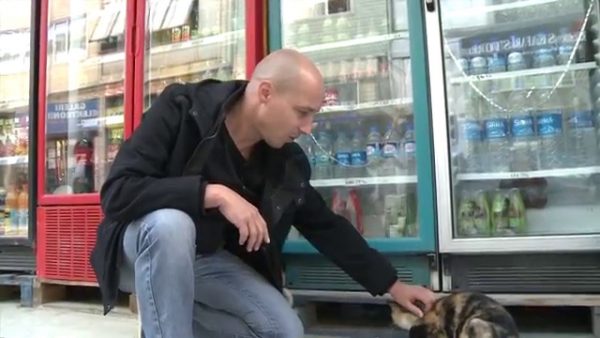 Coda rotta, per gatti e cani di strada una mappa 2.0 (VIDEO)