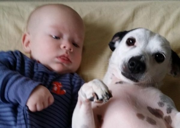 bambino e cane