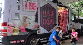 Hair of the dog, per i cani un salone di bellezza itinerante