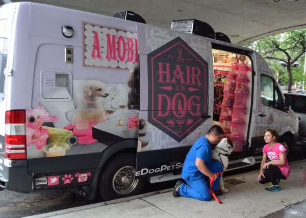 Hair of the dog, per i cani un salone di bellezza itinerante