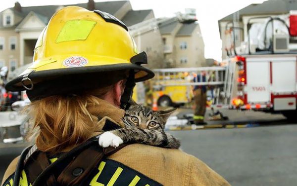 gatto in braccio a una donna pompiere