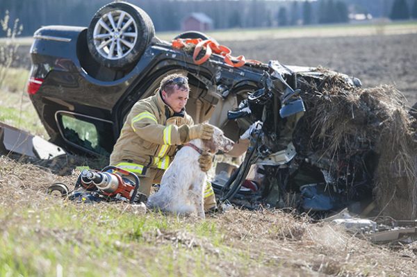 vigile del fuoco accarezza cane