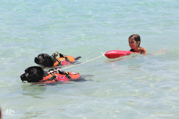 Bau watch, cani bagnini sulla spiaggia di Mondello