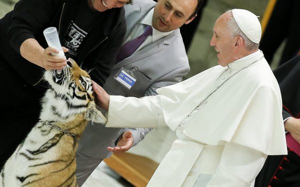 Tra la tigre e il Papa la protesta animalista (VIDEO)