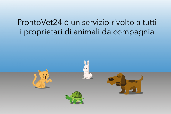Animali malati, ProntoVet 24 è l'app che li soccorre (VIDEO)