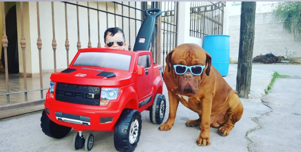 bambino in auto gioco e cane