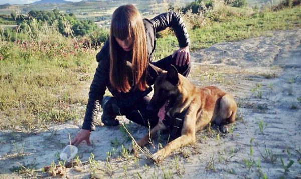 Cani in aiuto di altri cani contro le esche assassine (VIDEO)
