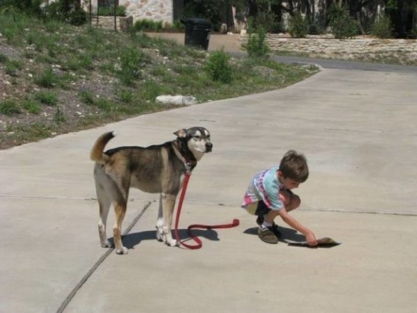 cane con guinzaglio e bambino