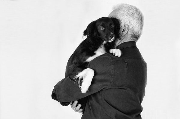 cane in braccio a un uomo