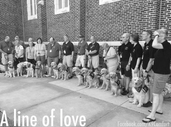 12 cani confortano i superstiti della strage di Orlando