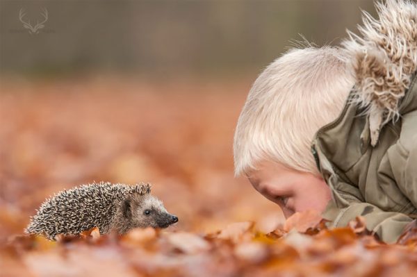 riccio e bambino